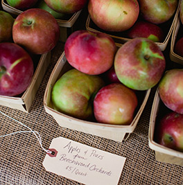 Apples
