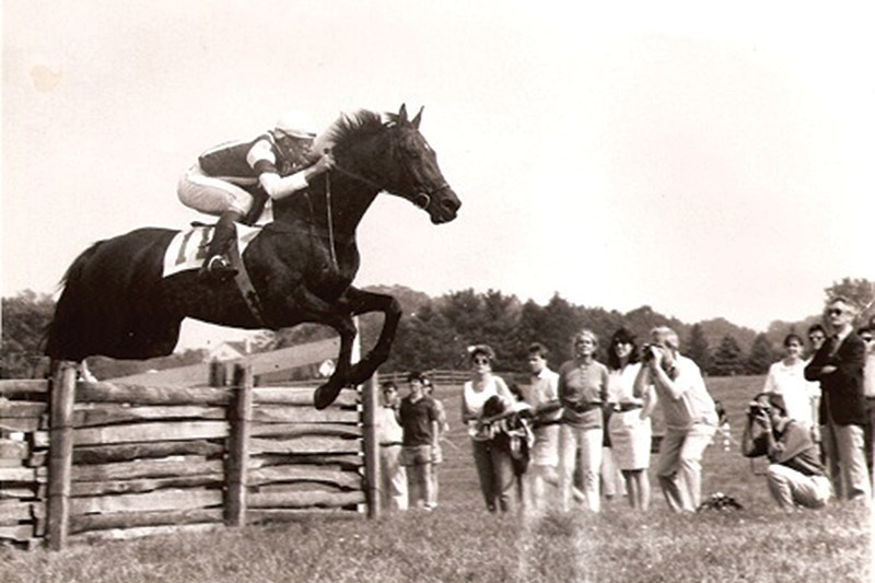 History of Steeplechase Racing