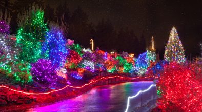 Herr Christmas Lights 2022 5 Of The Best Holiday Light Shows Around The Main Line