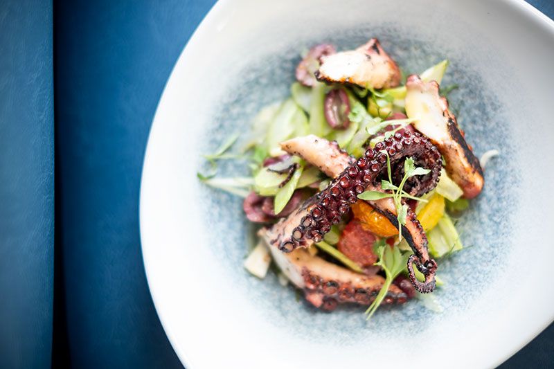 Avola Kitchen + Bar Brings Sophisticated Mediterranean Fare to Malvern