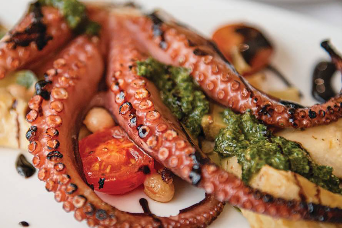 Otto by Polpo Offers Mediterranean BYOB in Bryn Mawr