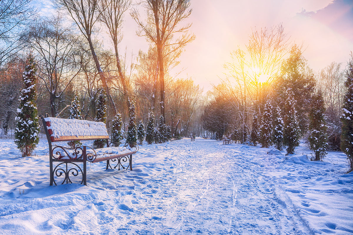 5 Can t Miss February Events Happening Around The Main Line Flipboard