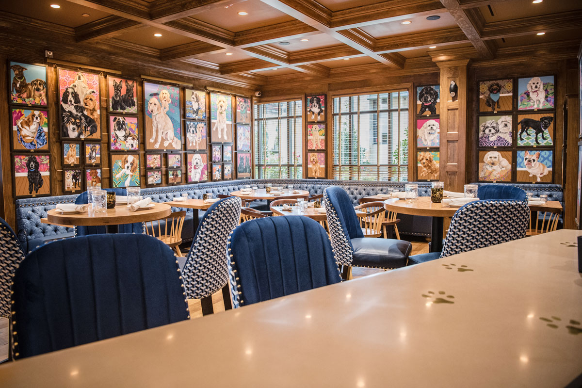 White Dog Cafe The Main Line Favorite Celebrates 40 Years