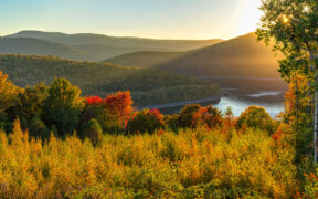 Tiny house catskills